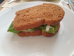 Avocado sandwich with rye bread at Ecru in Rome