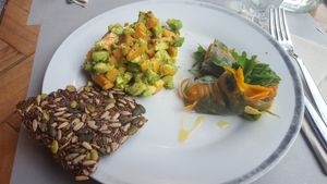 Spring rolls, avocado salad and raw seed cracker (all gluten free)  at Ecru in Rome