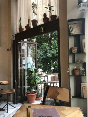 Cute plants at Ecru in Rome