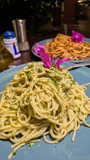  at Madre Tierra in Puerto Viejo De Talamanca