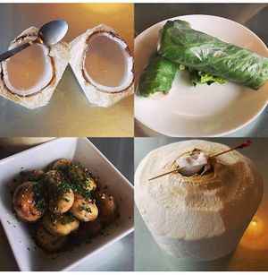 Mushrooms, spring rolls and coconut!  at Nokturne in Houston