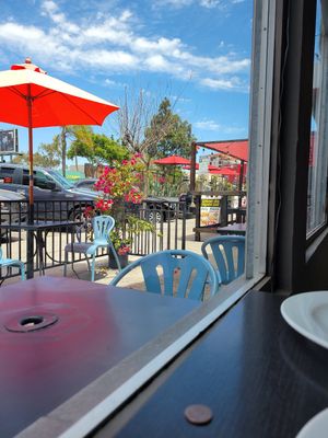  at Veganic Thai Cafe in San Diego