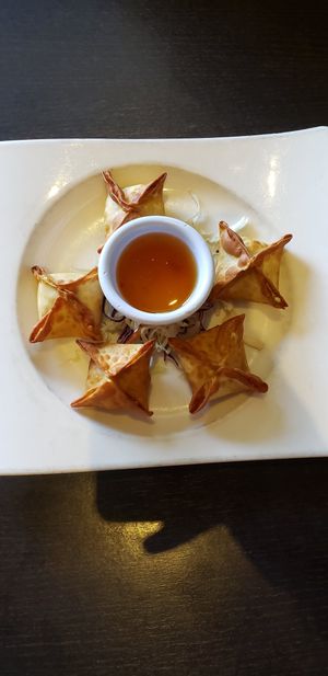 Wonton and vegan cream cheese! at Veganic Thai Cafe in San Diego