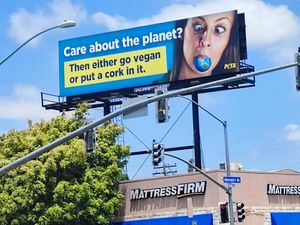 Great sign that we ran into at Veganic Thai Cafe in San Diego