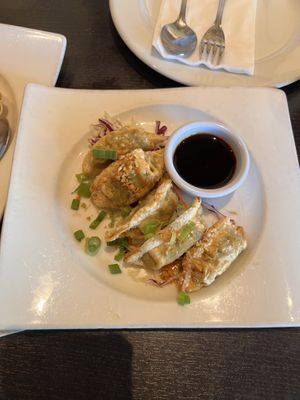 Pot stickers  at Veganic Thai Cafe in San Diego