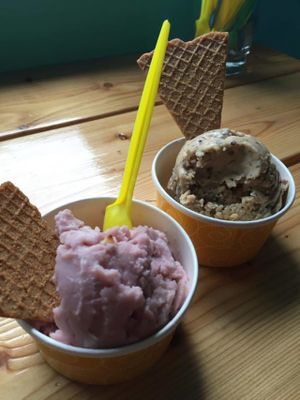 Vegan ice cream  at Joylato in Kopavogur