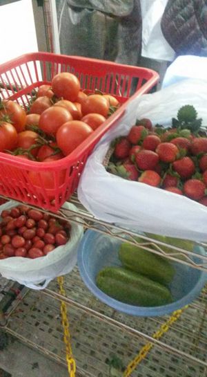 3 at Living Organic in Hong Kong Island