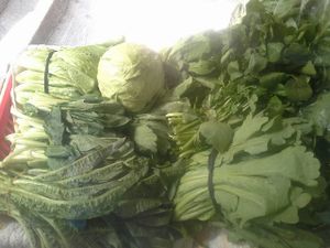 4 at Living Organic in Hong Kong Island