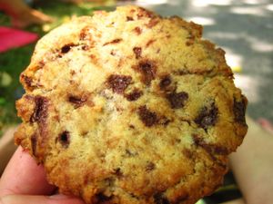Chocolate chip cookie. It is chewy, melty, tasty. Take it. at Cafe Dei Campi in Montreal