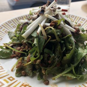 Salade de lentilles at Cafe Dei Campi in Montreal
