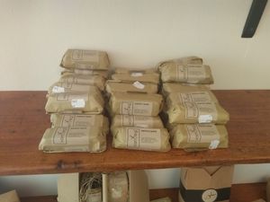 vanVeg at vanVeg in Haarlem