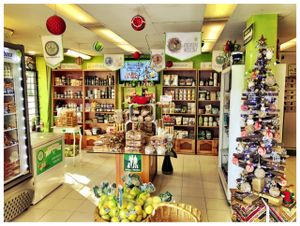 Muchísimos productos para los Veganos en DF!!! at Vegan Ville in Mexico City