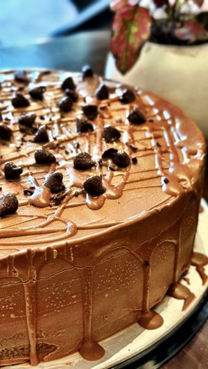 Pastel de triple chocolate   at Vegan Ville in Mexico City