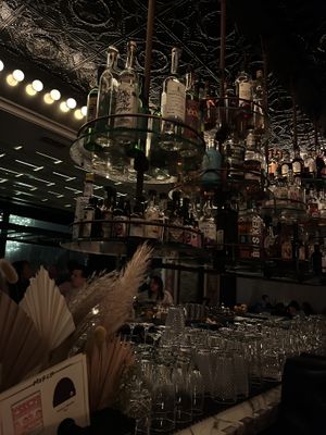   at Kindred in San Diego