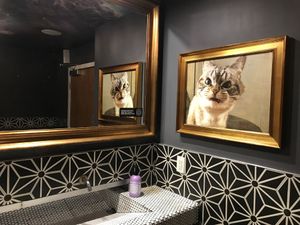 Ladies bathroom at Kindred in San Diego