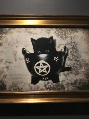 The restrooms have a theme. Have you guessed what it is? at Kindred in San Diego