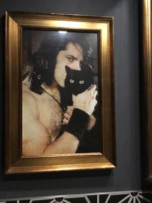 Fabio holding my cat at Kindred in San Diego