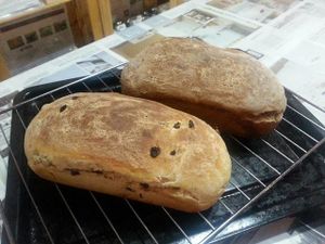 Vegan handmade bread - multigrains with raisin!!  at D'rink in Skudai