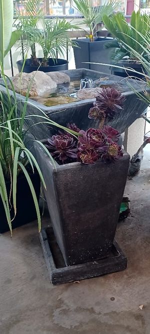Outdoor nesting at Plant Power Fast Food - Ocean Beach in San Diego