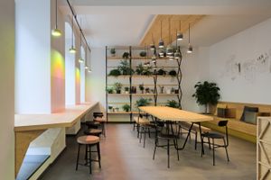 Inside at Sprout in Dresden