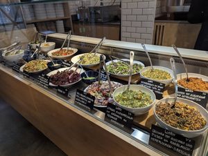  at Sprout in Dresden