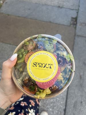   at Sprout in Dresden