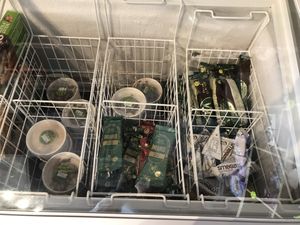 Vegan icecream  at Vx in Bristol