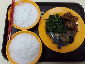4 dishes + 2 bowls of porridge for $3.50 only at Mi Le Vegetarian 弥乐素食 in Central Singapore