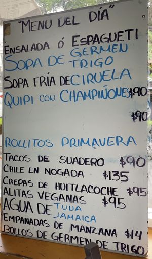   at Elihir in Mexico City