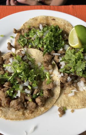   at Elihir in Mexico City