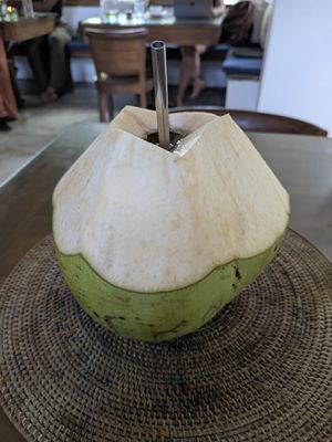 Coconut at Sage in Ubud