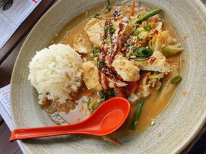 Glücksreis mit Erdnuss-Cocus-Curry, Saisonalen Gemüse und gehackten Erdnüssen und extra Tofu at MoschMosch in Darmstadt