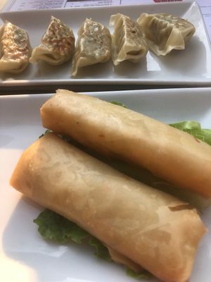 Gyoza and spring rolls at MoschMosch in Darmstadt