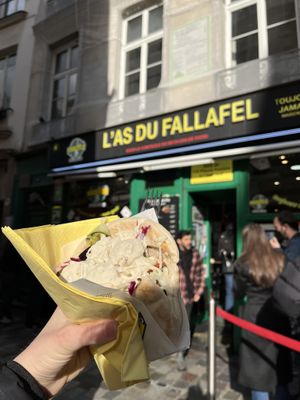 the falafel  at L'as du Fallafel in Paris