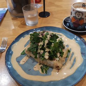 Mushfoo at The Healthy Hub in Cairns