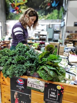 Fresh, organic green leafy vegetables available every week from The Healthy Hub.  at The Healthy Hub in Cairns