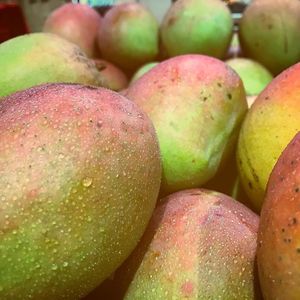 mango season! come grab them fast before they are all goooone! Organic, local, fresh.  at The Healthy Hub in Cairns