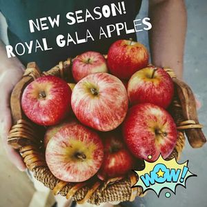 Organic and delicious ! You can find a variety of certified organic apples. Granny Smith, Pink Lady, Sundowners, Golden Delicious, Fuji, and Royal Gala. at The Healthy Hub in Cairns