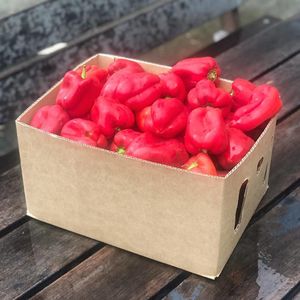 Certified organic RED CAPSICUMS.  at The Healthy Hub in Cairns