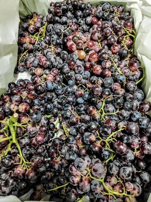 MUSCAT GRAPS! Love form the first taste!  at The Healthy Hub in Cairns