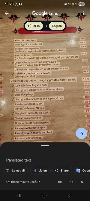 Menu translated using Google at Bar Górski in Zakopane