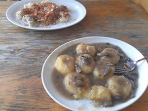 kluski śląskie in mushroom gravy at Bar Górski in Zakopane