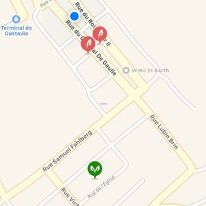 green dot, incorrect location on vegimaps, blue actual location at Tom's Juice Bar in Gustavia