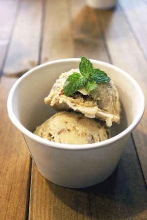 Vegan rum raisin ice cream at Ain Soph.Ripple Kabukicho in Tokyo