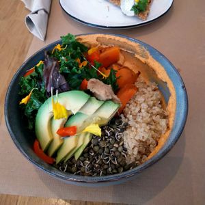 Bowl at Paper Plane in Nice