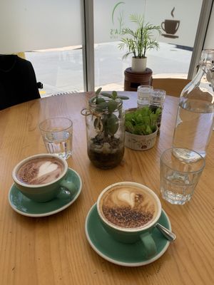 Vegan hot chocolate and oat milk at Ayla's Cafe in Adelaide