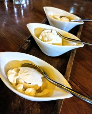 Vegan coconut ice cream at Mito  in Zihuatanejo