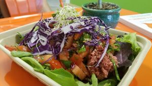 Beetballs and zucchini pasta on a bed of greens at Organically Twisted in Naples