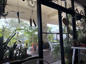   at Organically Twisted in Naples