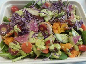 Truck salad at Organically Twisted in Naples